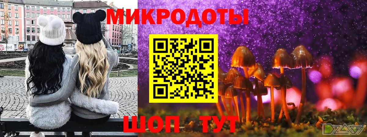 где найти наркотики  Вход с VPN  Вятские Поляны  Псилоцибиновые грибы Psilocybe 